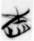 不求者（諸）丌（其）～（本）而〇（攻）者（諸）丌（其）末
