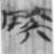 不〇（將）安～之下〇（隋）里人〇（屈）犬少〇陽申以〇（廷）