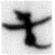 说明: 256